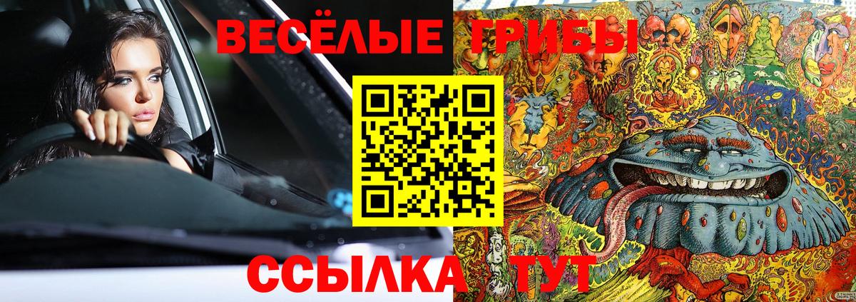 Галлюциногенные грибы MAGIC MUSHROOMS  Вход с VPN  Гусь-Хрустальный 